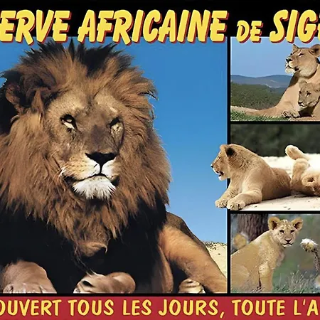 Le Mieukerien - Réserve Africaine Appartamento *