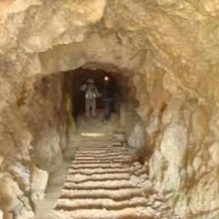 דירה Reserve Africaine 15 Mn - 200 M - Le Mieukerien פור-א-נובל