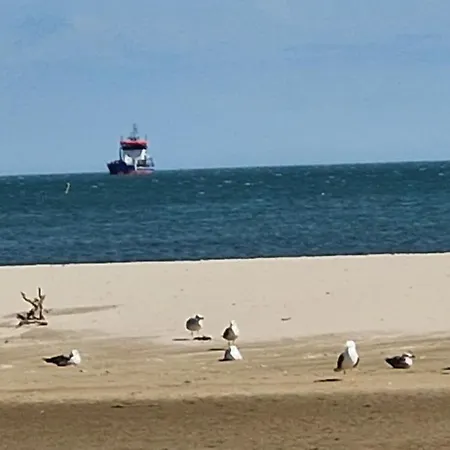 Apartamento Réserve Africaine 15 Mn - Plages 200 M - Le Mieukerien *