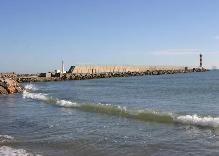 Le Mieukerien - Reserve Africaine 15 Mn - 200 M Port-la-Nouvelle